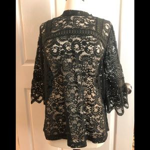 Beautiful LOFT Lace  Forrest Dark Green Top (L)